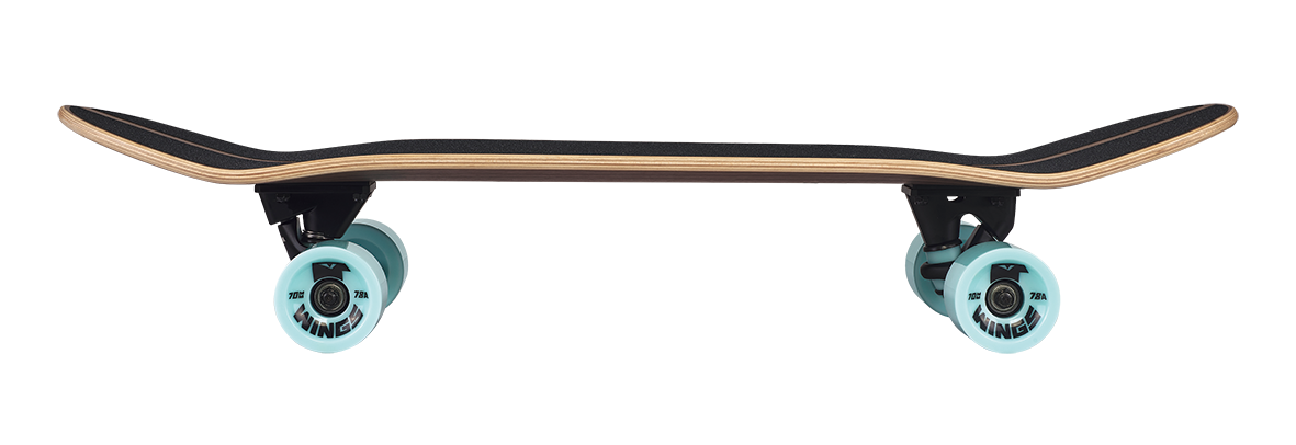 INDIANA SKATEBOARD SURFSAKTE NUSSBAUM